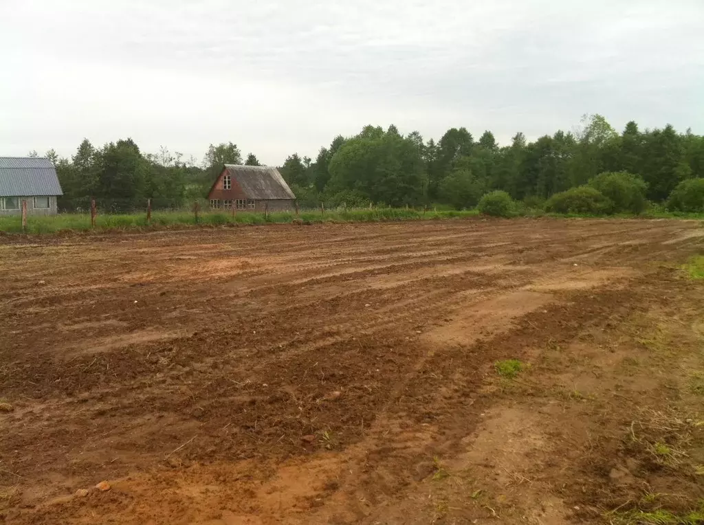 Участок в Московская область, Сергиево-Посадский городской округ, д. ... - Фото 1