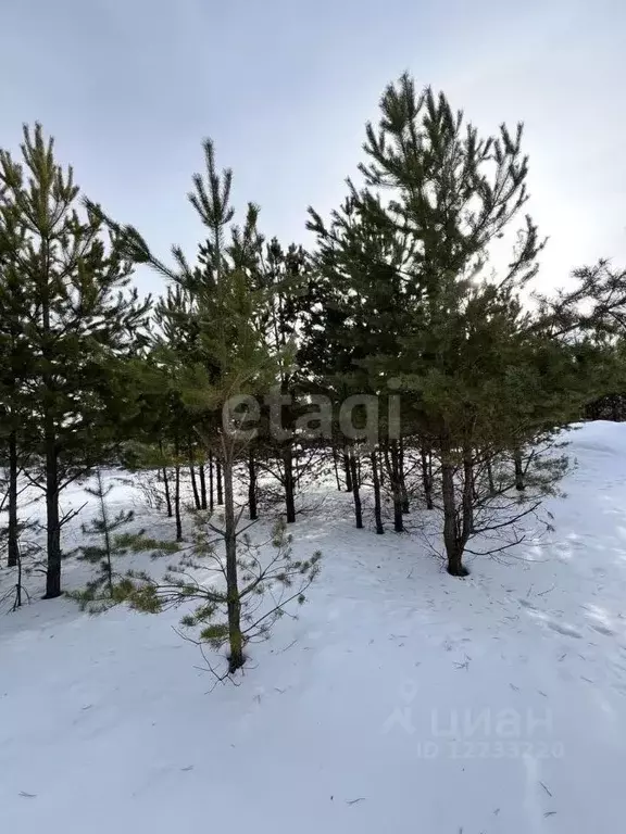 Участок в Свердловская область, Екатеринбург Верхнемакарово кп,  (11.3 ... - Фото 1