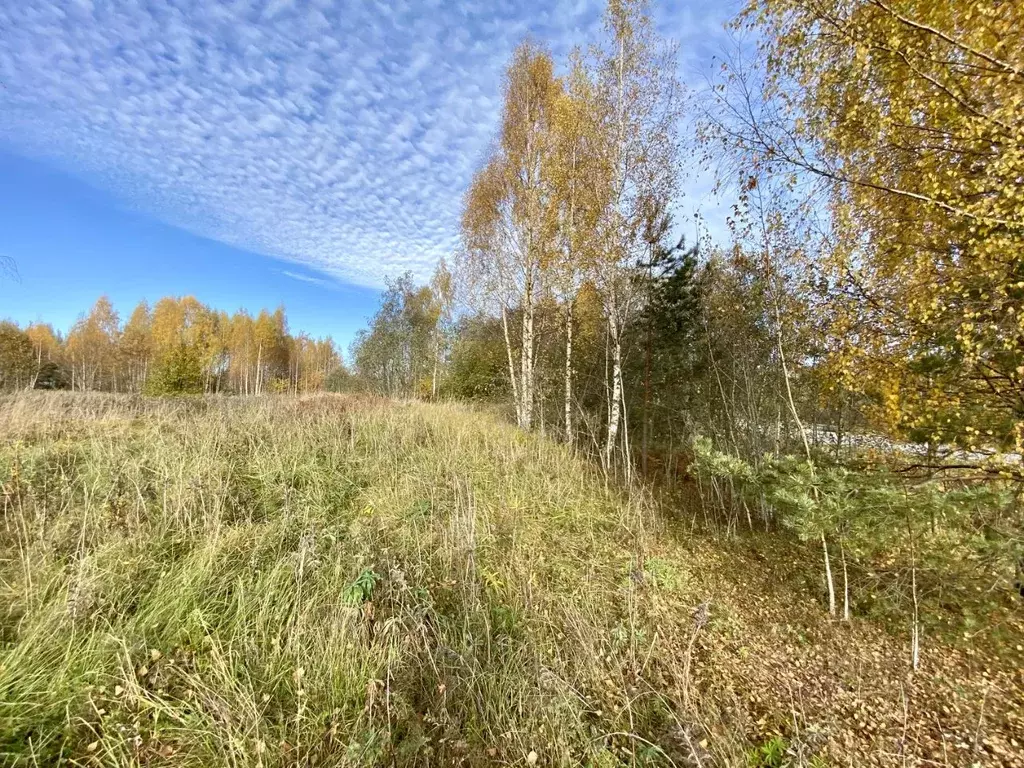 Участок в Псковская область, Гдов муниципальное образование  (31.0 ... - Фото 0