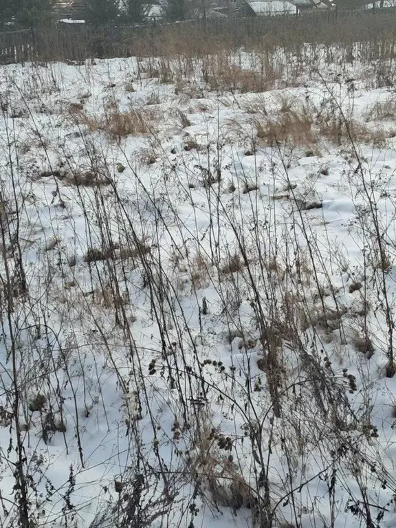 Участок в Свердловская область, Сысертский городской округ, с. ... - Фото 0