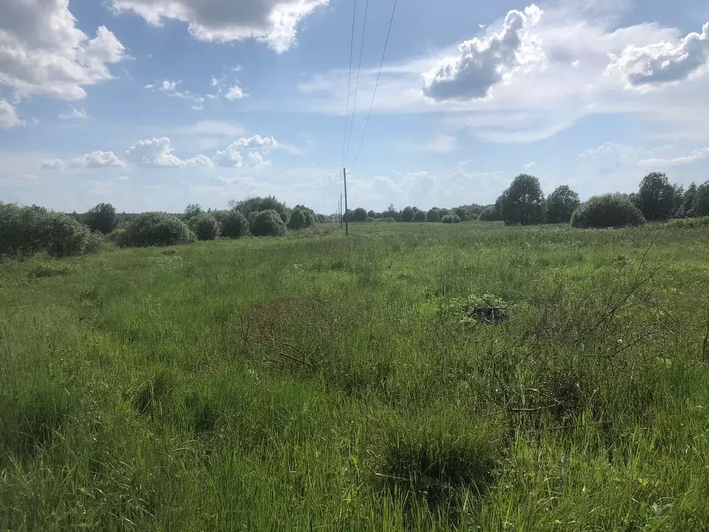 Участок в Ленинградская область, Кингисеппский район, Опольевское ... - Фото 1