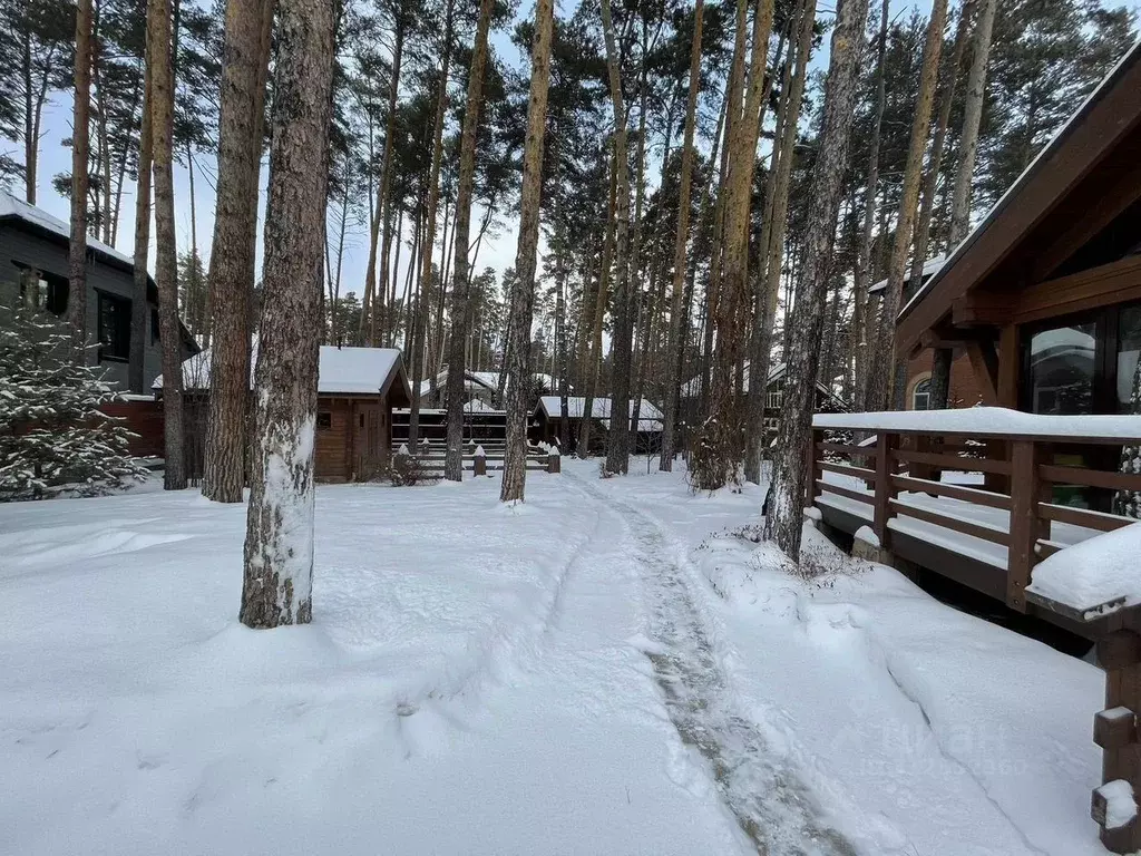 Участок в Новосибирская область, Новосибирский район, Кудряшовский дп ... - Фото 0