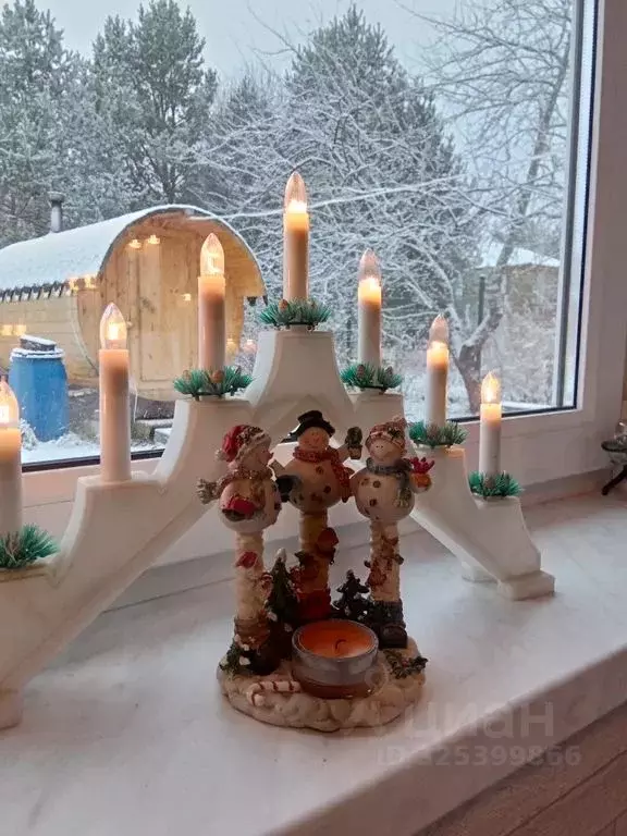 Дом в Ленинградская область, Приозерский район, Плодовское с/пос, пос. ... - Фото 2