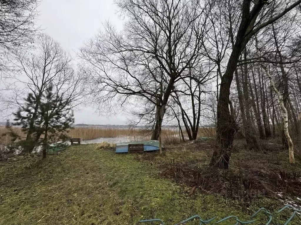 Дом в Псковская область, Себежское с/пос, д. Илово  (42 м) - Фото 1