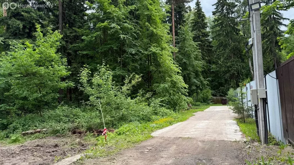 Участок в посёлок городского типа Кратово, Тихая улица, 8 (20 м) - Фото 2