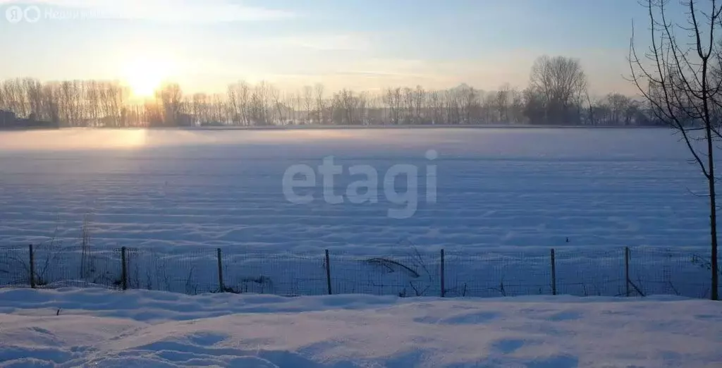 Участок в Курган, СНТ Заря (6 м) - Фото 1