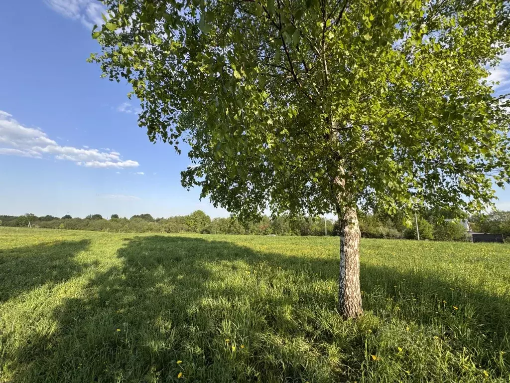 Участок в Московская область, Сергиево-Посадский городской округ, д. ... - Фото 2