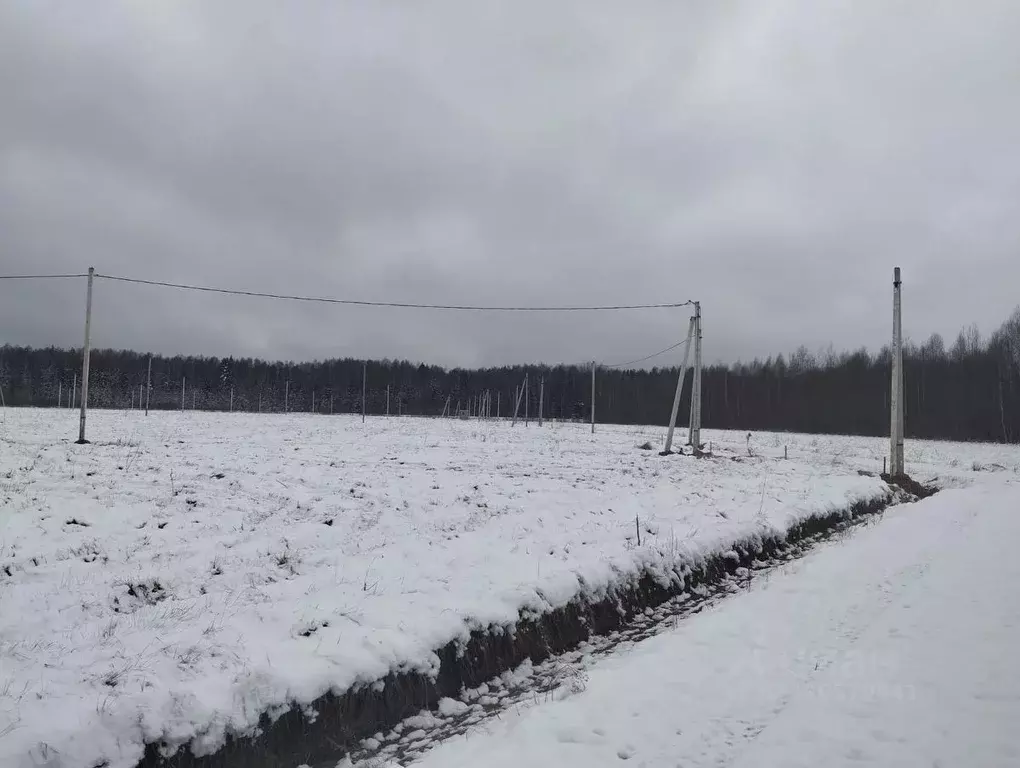 Участок в Московская область, Дмитровский городской округ, Раменье дп  ... - Фото 1