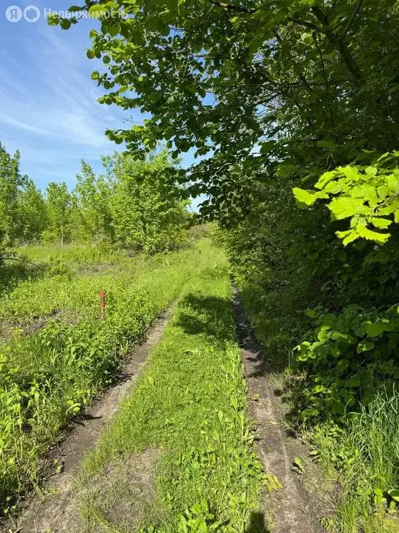 Участок в Ставрополь, ДНТ Геофизик, Северная улица (6 м) - Фото 0