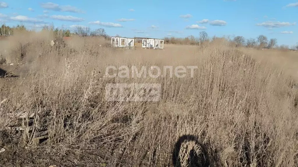 Участок в Липецкая область, Грязинский район, Большесамовецкий ... - Фото 1