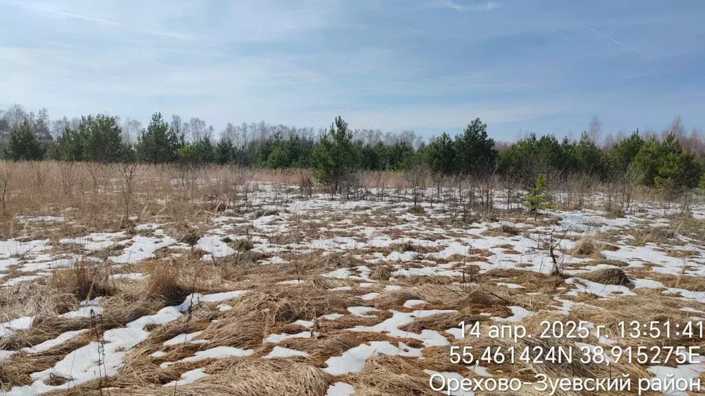 Участок в Московская область, Орехово-Зуевский городской округ, д. ... - Фото 0