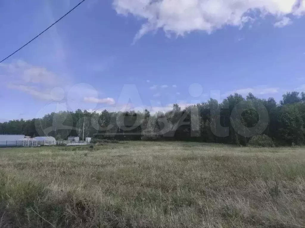 Участок 11,5 сот. (СНТ, ДНП) - Фото 0