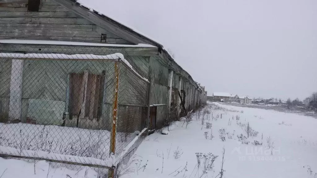 Помещение свободного назначения в Красноярский край, ЗАТО Железногорск ... - Фото 1