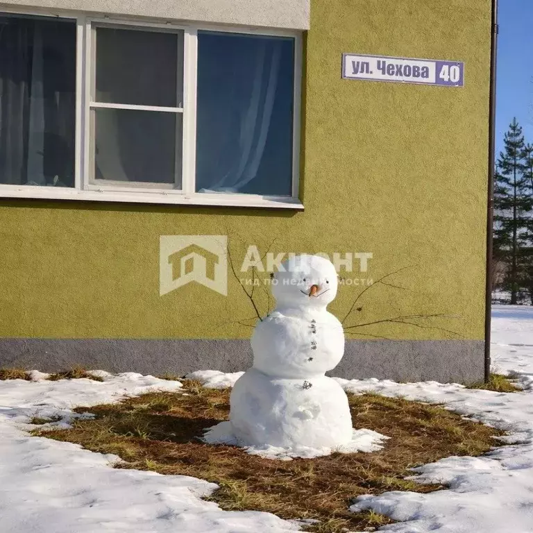1-к кв. Ивановская область, Кохма ул. Чехова, 40 (39.3 м) - Фото 1