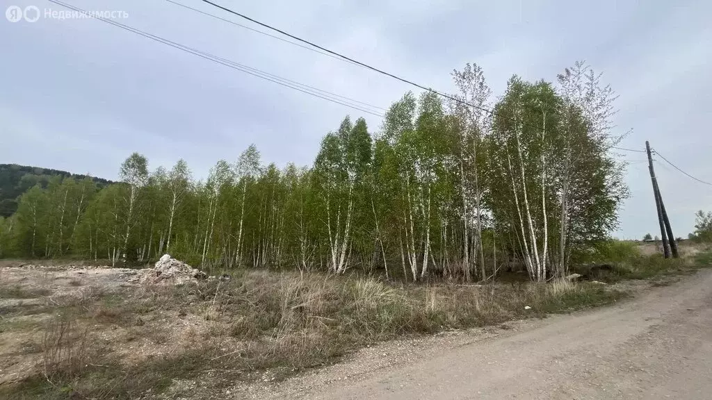 Участок в Иркутский муниципальный округ, ДНТ Прибрежное (10 м) - Фото 1