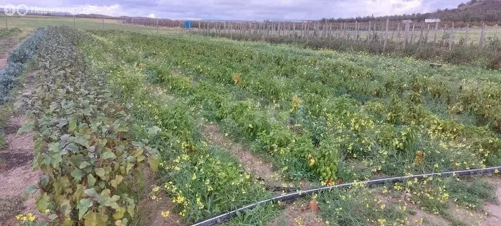 Участок в Бахчисарайский район, село Красный Мак (104.29 м) - Фото 1