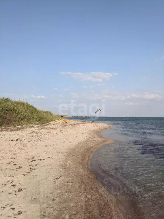 Участок в Крым, Черноморский район, с. Межводное ул. Джарылгачская ... - Фото 0