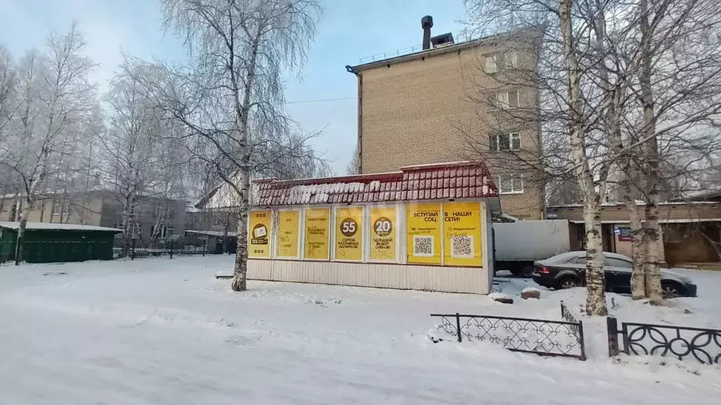 Торговая площадь в Архангельская область, Новодвинск ул. 50-летия ... - Фото 1