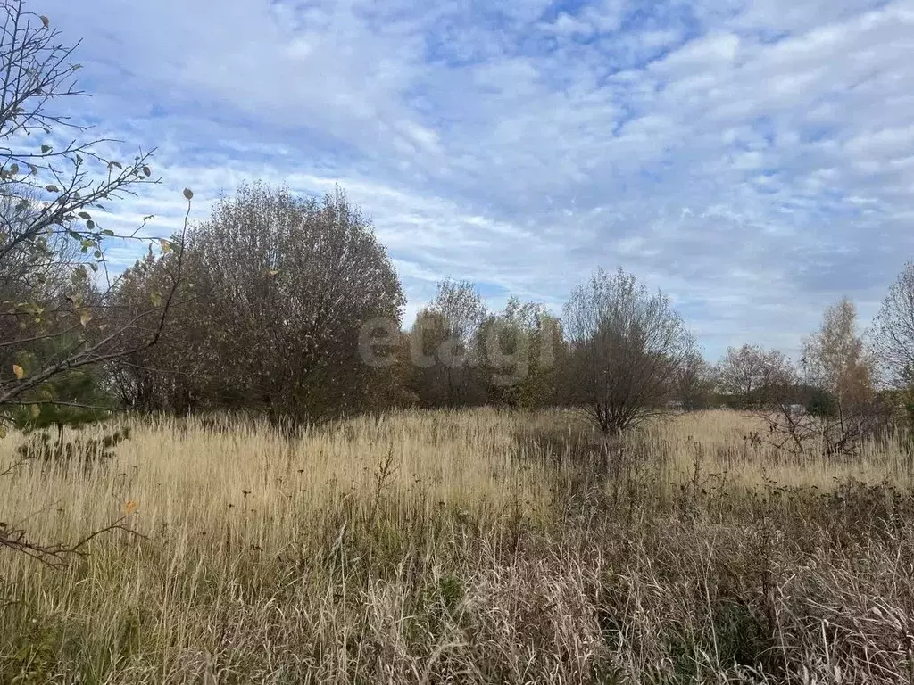 Участок в Московская область, Коломна городской округ, с. Шеметово  ... - Фото 0