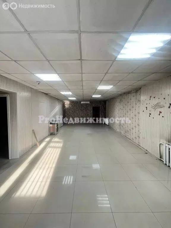 Помещение свободного назначения (83 м) - Фото 1