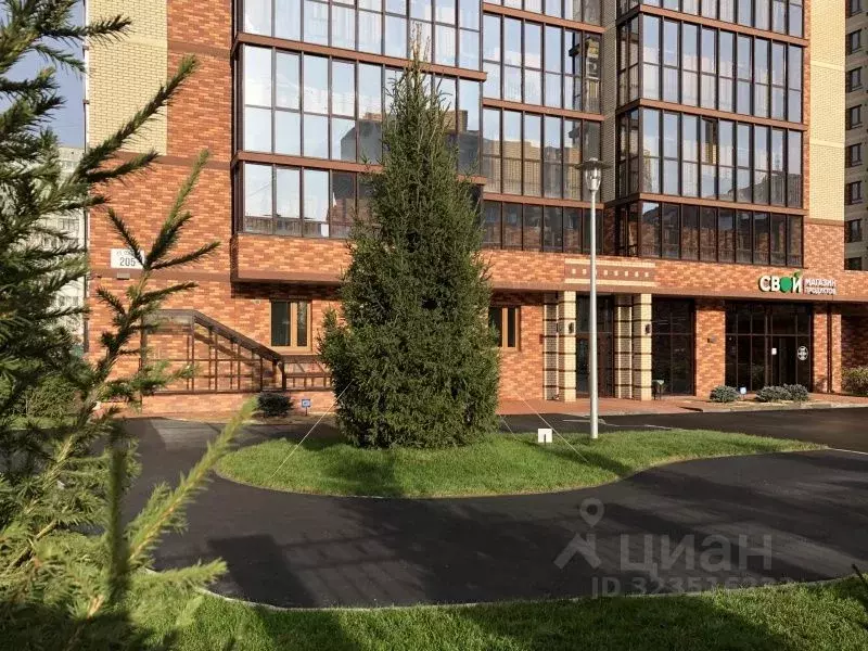 Студия Новосибирская область, Новосибирск ул. Гоголя, 205 (21.1 м) - Фото 0