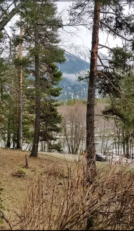 Участок в Карачаево-Черкесия, Зеленчукский район, с. Архыз  (50.0 ... - Фото 0