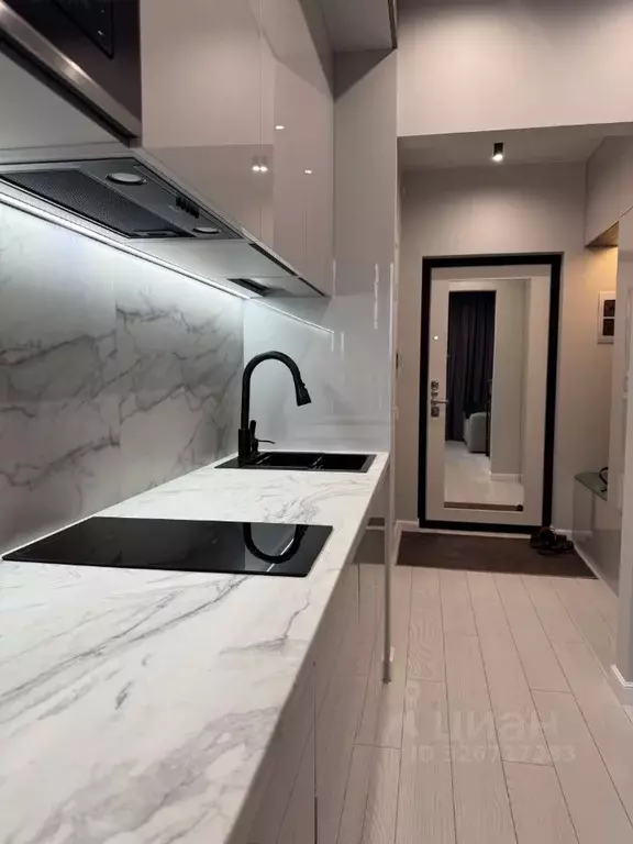 Студия Санкт-Петербург Прилукская ул., 28к2 (27.5 м) - Фото 1