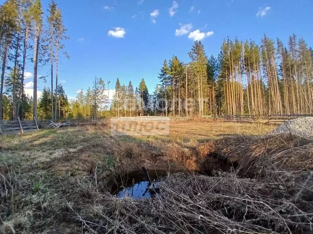 Участок в Свердловская область, Ревда ул. Небесная (10.0 сот.) - Фото 1