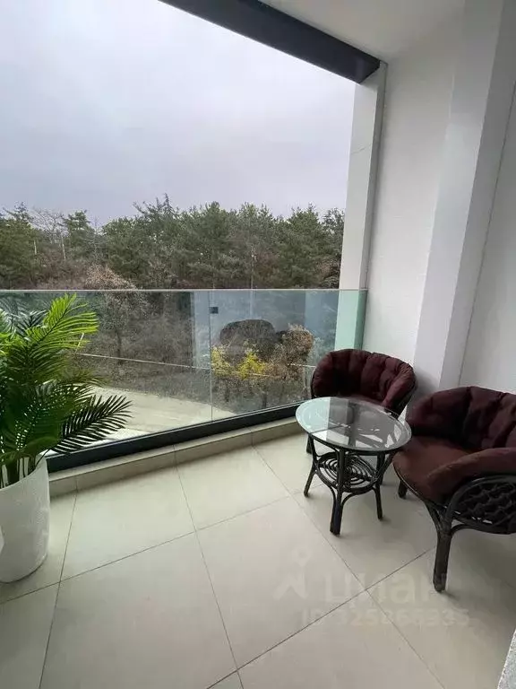 Студия Крым, Ялта ул. Войкова, 39Ак2 (29.0 м) - Фото 2