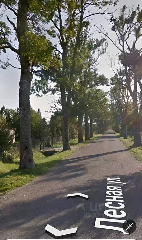 Участок в Калининградская область, Гурьевский муниципальный округ, ... - Фото 2