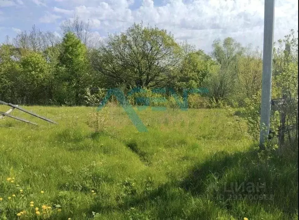 Участок в Белгородская область, Белгородский район, Беломестненское ... - Фото 2