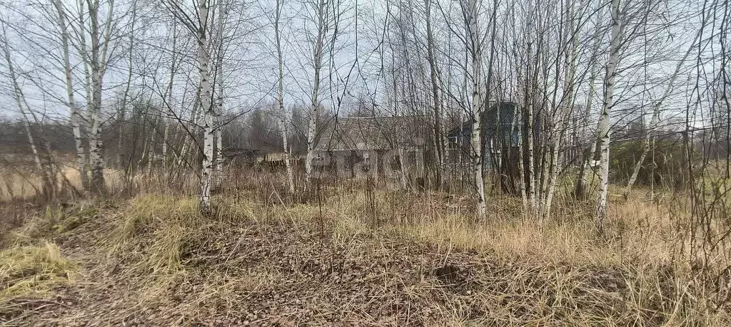 Участок в Нижегородская область, Навашинский городской округ, с. ... - Фото 1