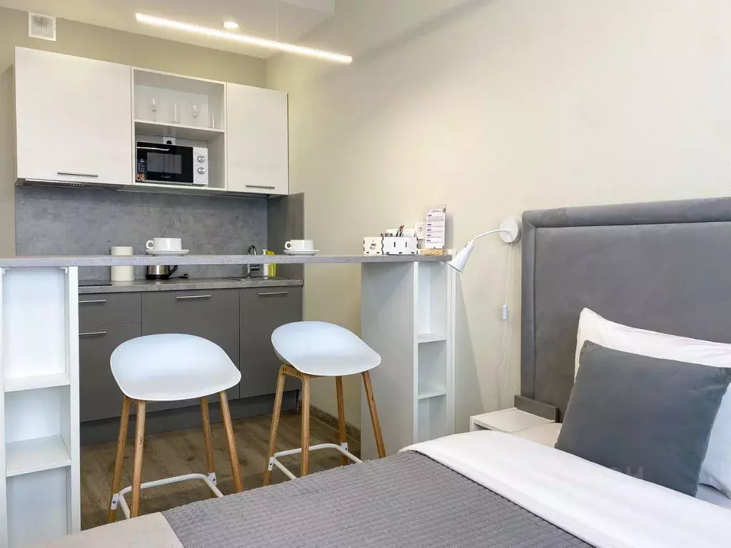 Студия Санкт-Петербург Витебский просп., 99к1 (24.1 м) - Фото 1