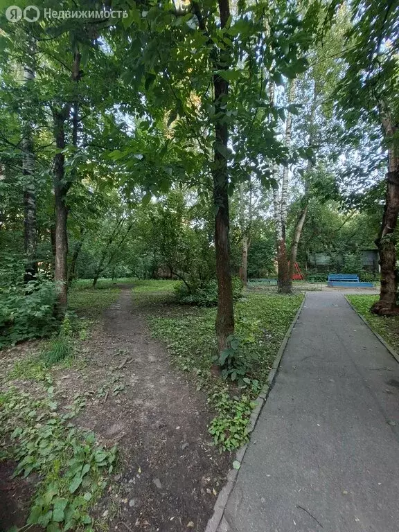 2-комнатная квартира: Пушкино, Московский проспект, 43/7 (47 м) - Фото 1