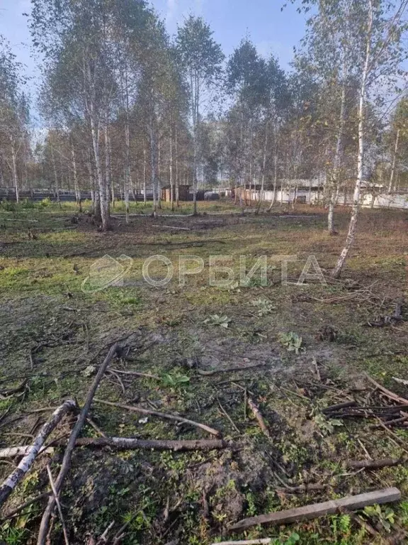 Участок в Тюменская область, Нижнетавдинский район, Строитель ТСН ул. ... - Фото 1