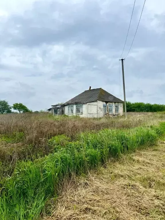 Участок в Белгородская область, Валуйский муниципальный округ, с. ... - Фото 1