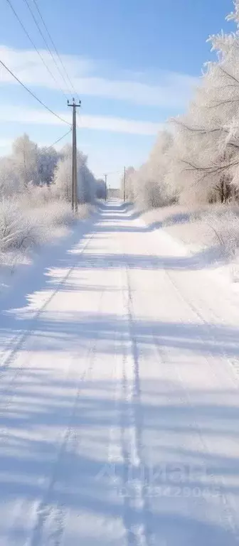 Участок в Новгородская область, Чудовский район, Трегубовское с/пос, ... - Фото 1