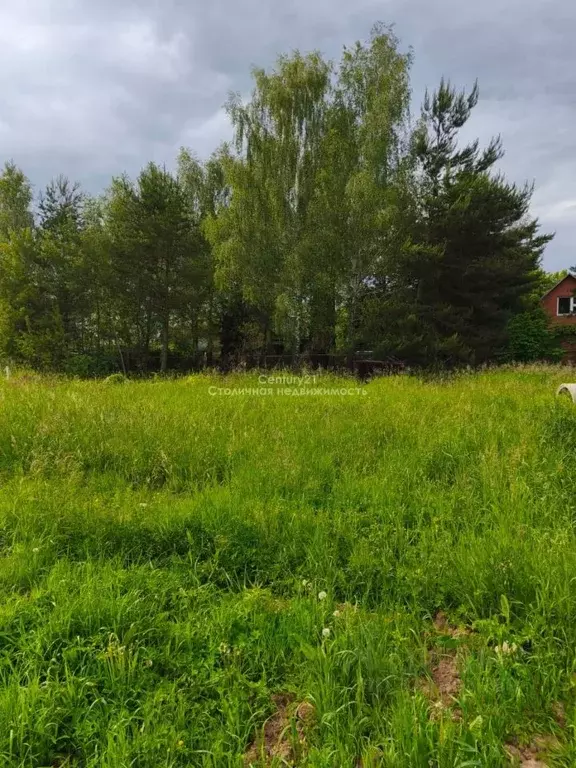 Участок в Московская область, Одинцовский городской округ, д. Щедрино ... - Фото 1