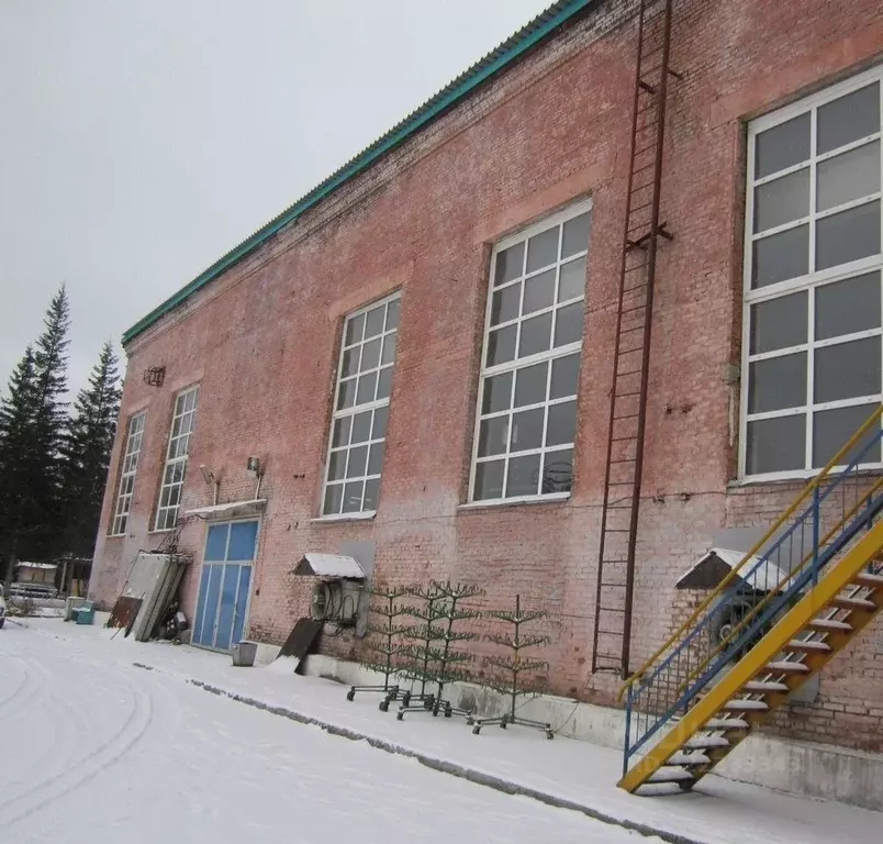 Производственное помещение в Новосибирская область, Новосибирск ул. ... - Фото 1