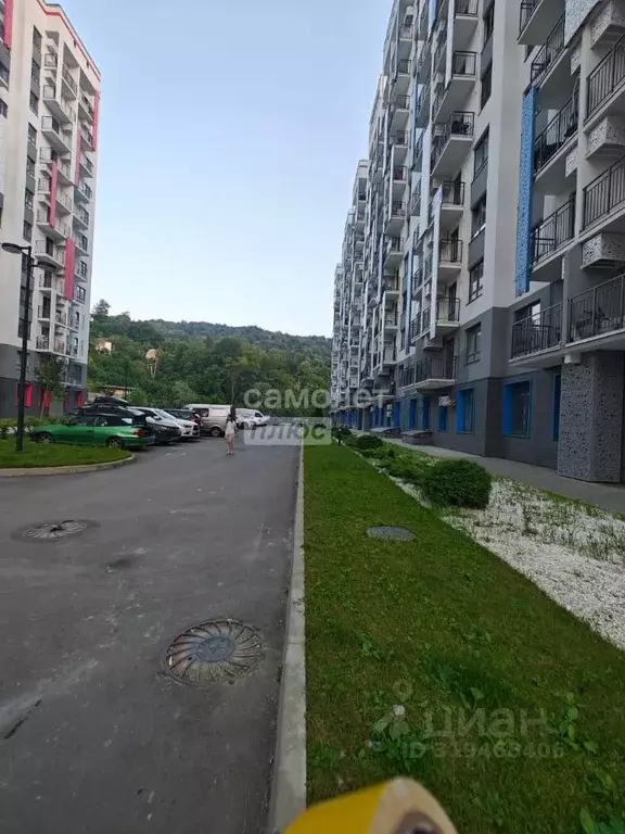 Студия Краснодарский край, Сочи ул. Искры (25.0 м) - Фото 1