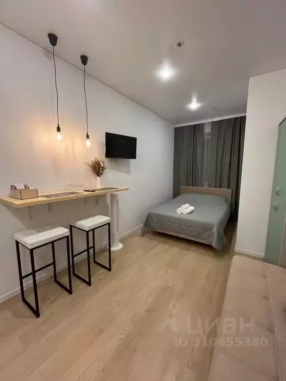 1-к кв. Нижегородская область, Нижний Новгород Сенная пл., 1 (24.0 м) - Фото 2