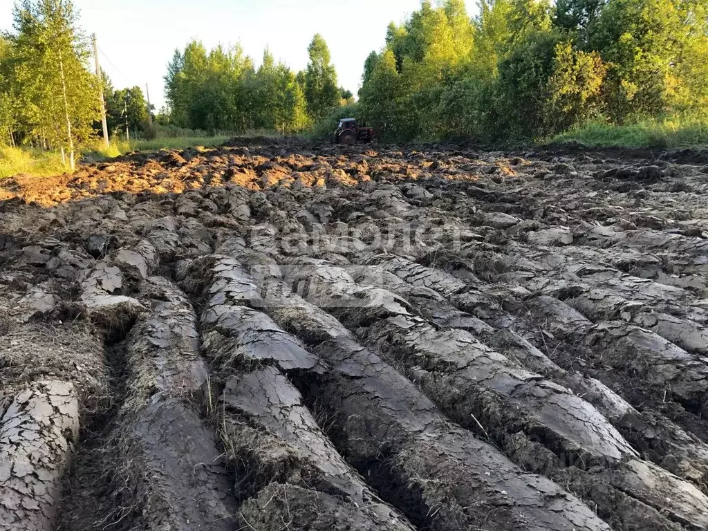 Участок в Тюменская область, Нижнетавдинский муниципальный округ, ... - Фото 1