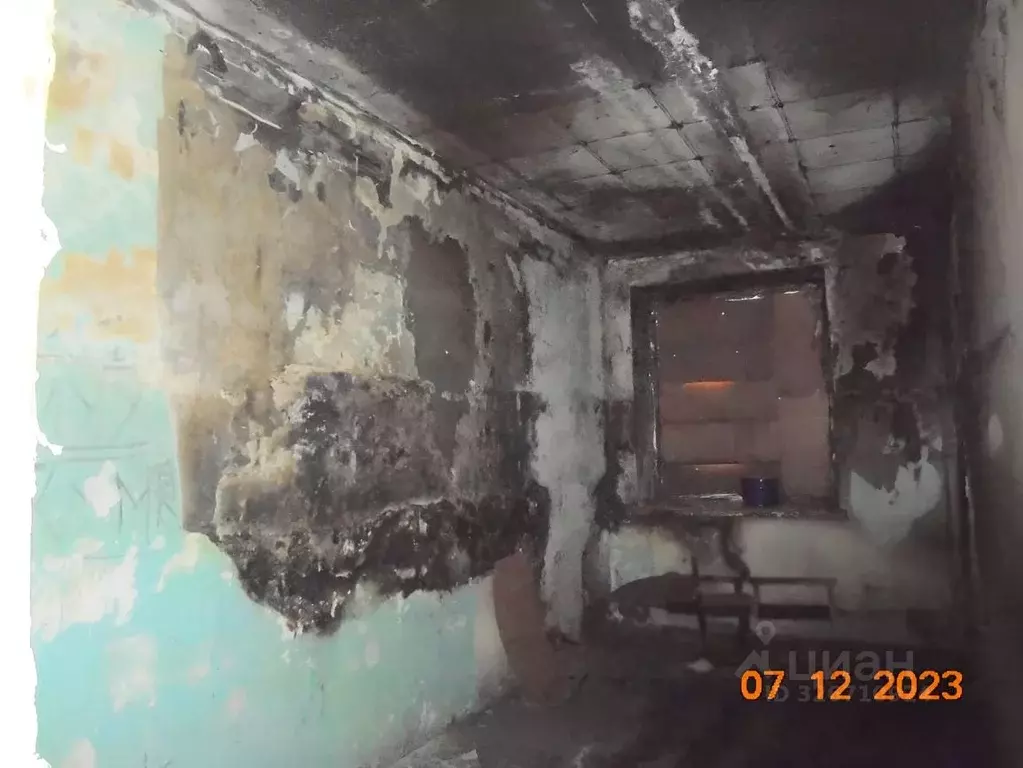 Помещение свободного назначения в Хабаровский край, ... - Фото 1