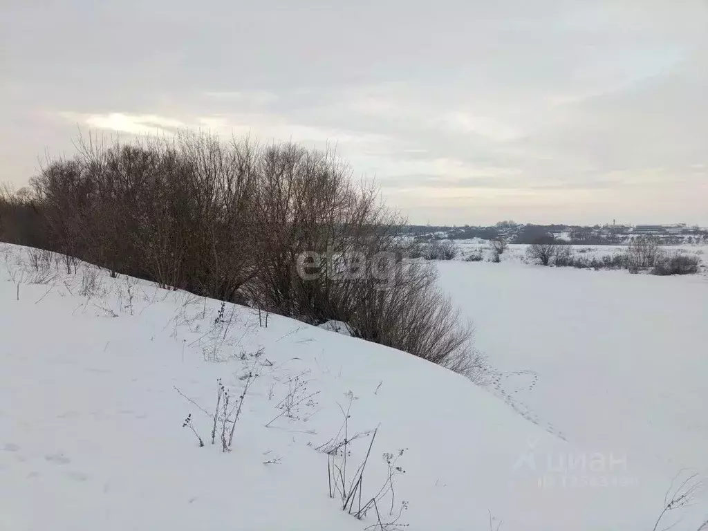 Участок в Воронежская область, Рамонский район, Новоживотинновское ... - Фото 0