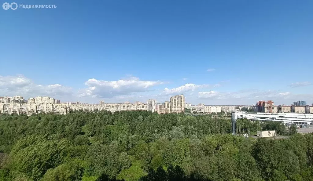 1-комнатная квартира: Санкт-Петербург, набережная реки Оккервиль, 4к2Б ... - Фото 2