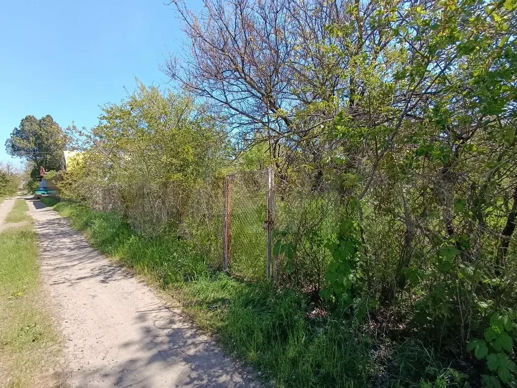 Участок 6 сот. (СНТ, ДНП) - Фото 1