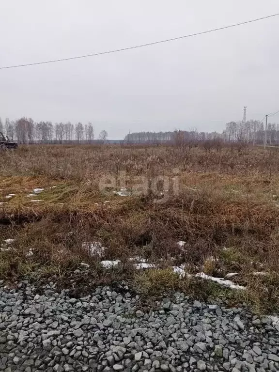 Участок в Тюменская область, с. Омутинское ул. Степная (12.6 сот.) - Фото 0