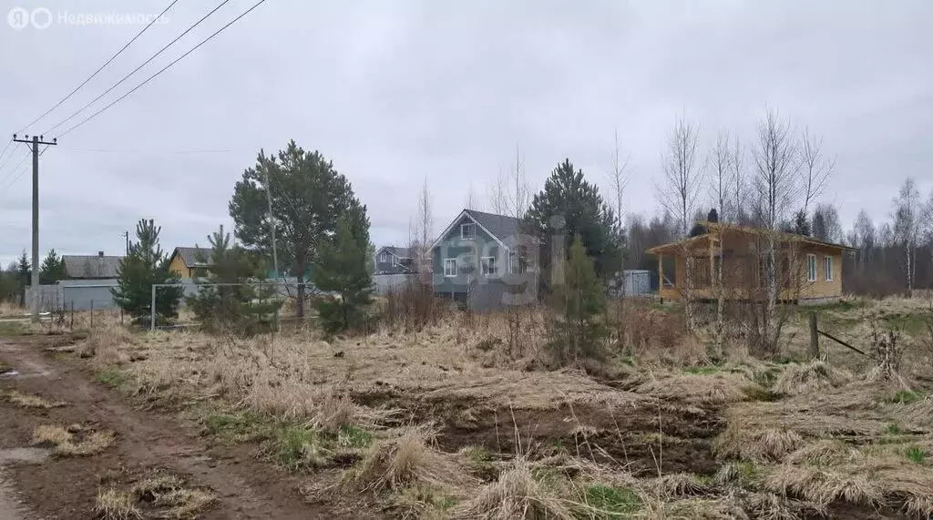 Участок в Ярославская область, Угличский муниципальный округ, село ... - Фото 2