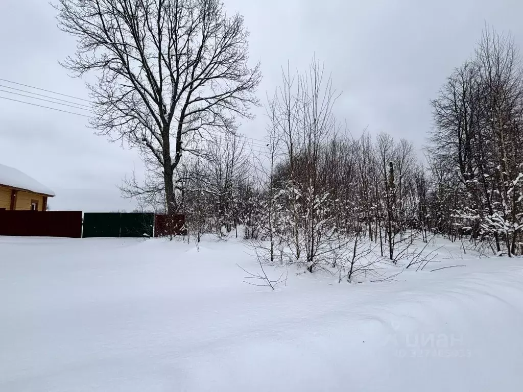 Участок в Московская область, Дмитровский муниципальный округ, д. ... - Фото 1