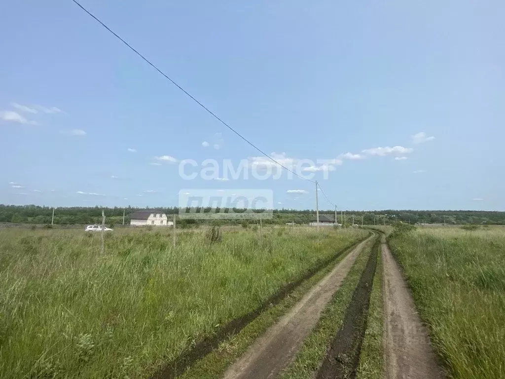 Участок в Курская область, Курский район, с. Ноздрачево, Чистые пруды ... - Фото 2